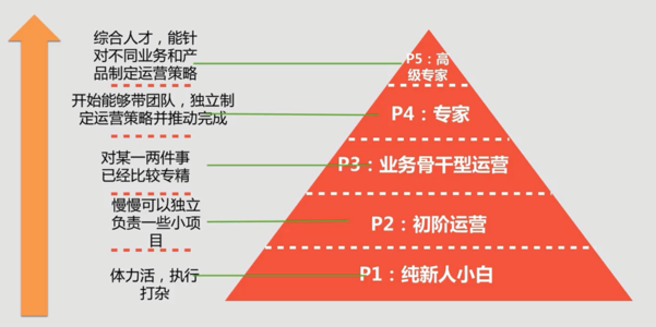 鸟哥笔记,职场成长,类类leo,成长,运营规划 ,职场,思维