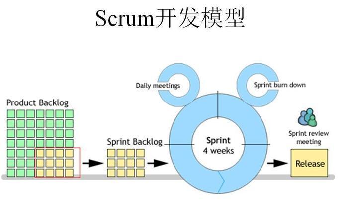 运营团队构成