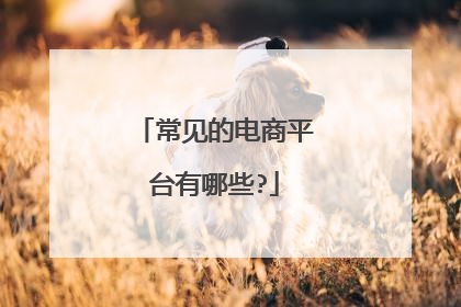 国内的电商平台有哪些(国内垂直电商平台有哪些)